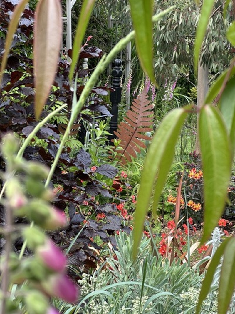 Other image for Barnsley’s Best Garden: Artist’s touch ensures beautiful transformation